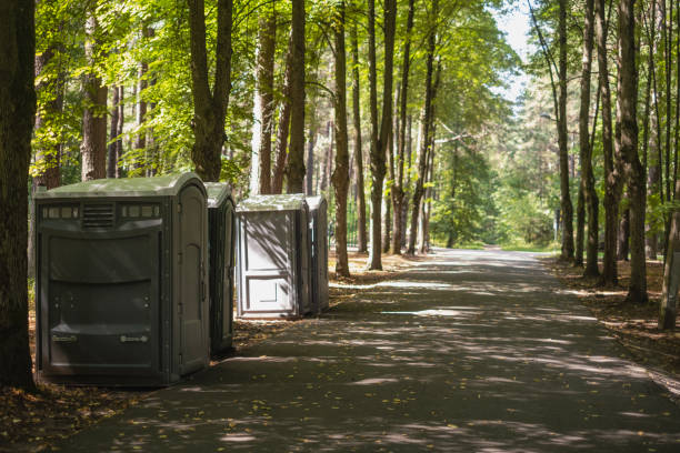 Best Hazardous Tree Removal  in USA